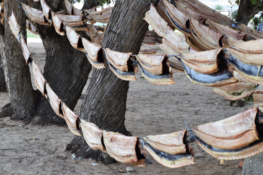 0 Bedroom Property for Sale in St Helena Views Western Cape